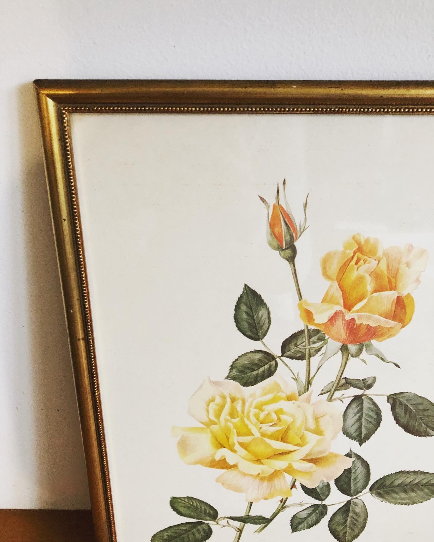 Lithographie florale