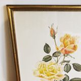 Lithographie florale