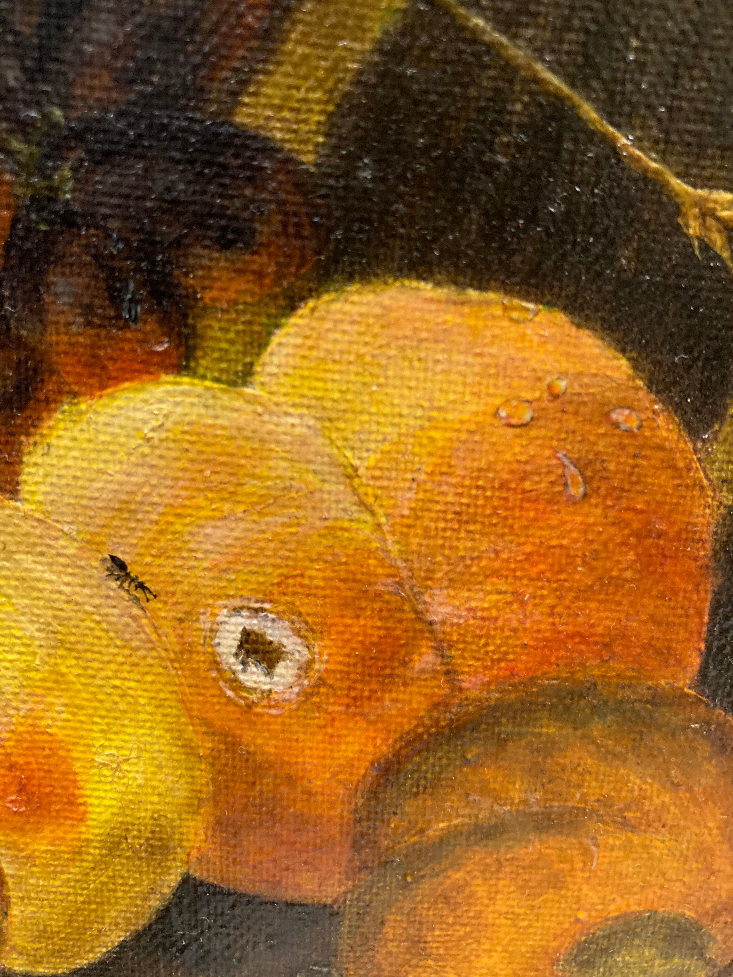 Nature morte aux insectes