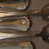 Silver metal fish service