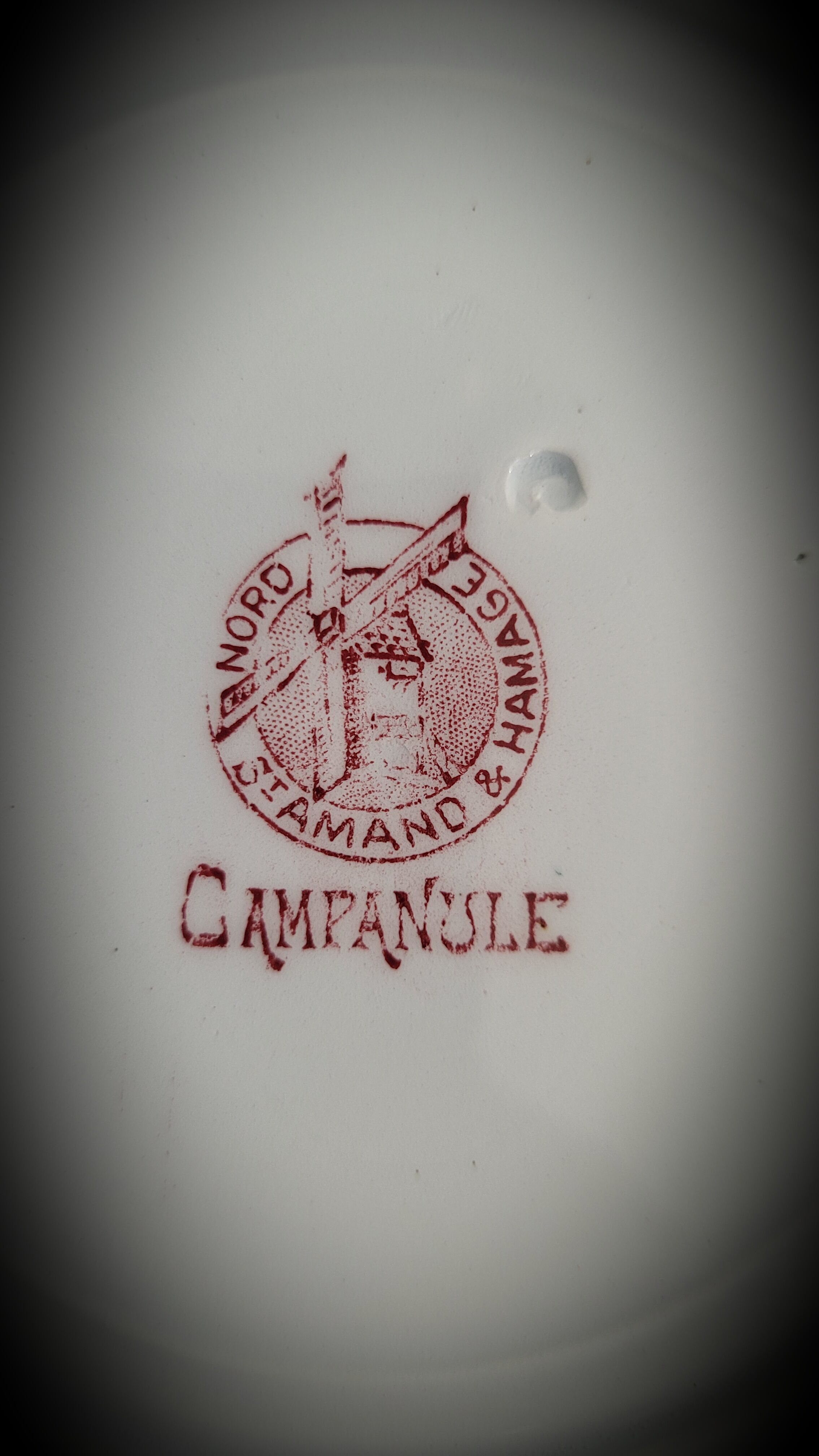 Quartet plates Campanula