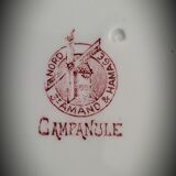 Quartet plates Campanula