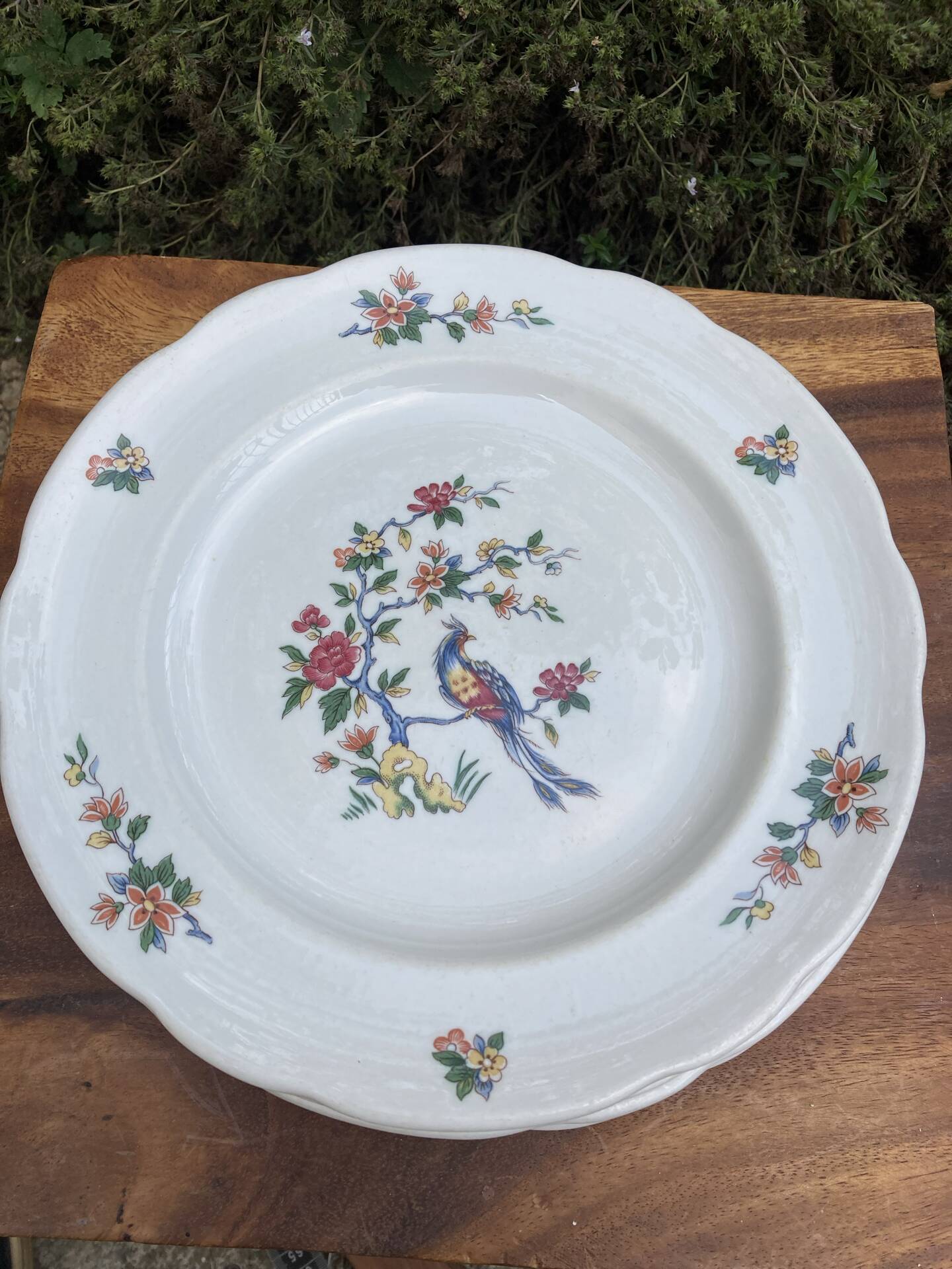 Flat plates with scalloped edges Sarreguemines bohemian chic