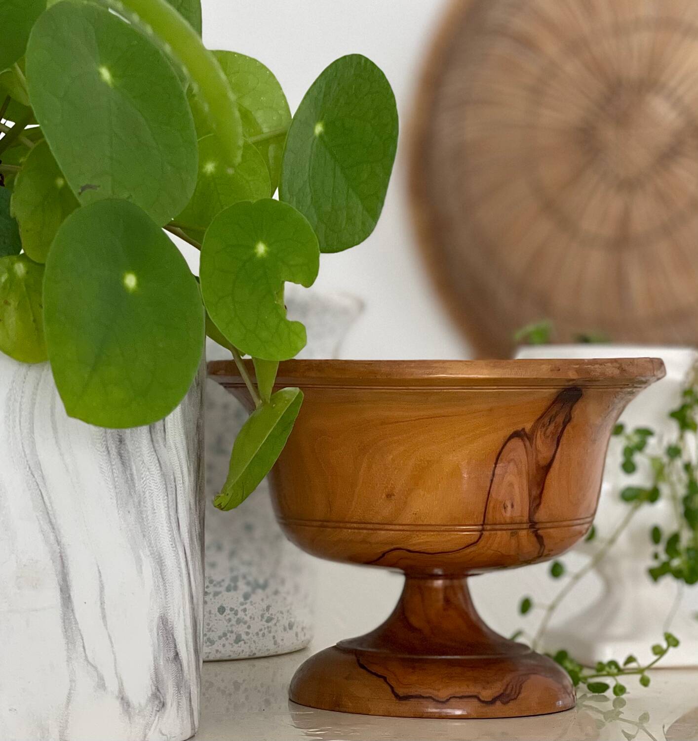 Empty pocket in olive wood