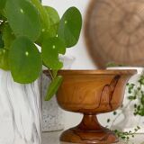 Empty pocket in olive wood