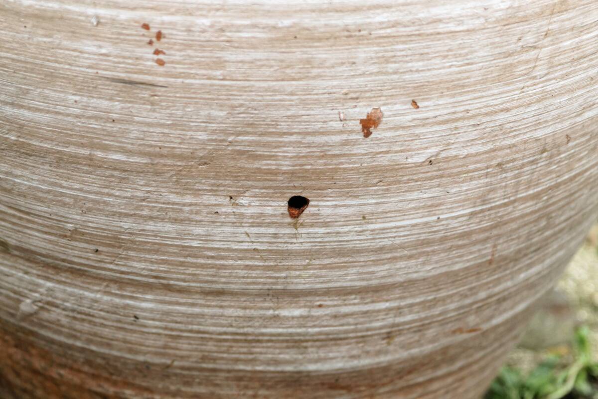 Monumental terracotta jar