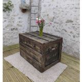 Large old trunk