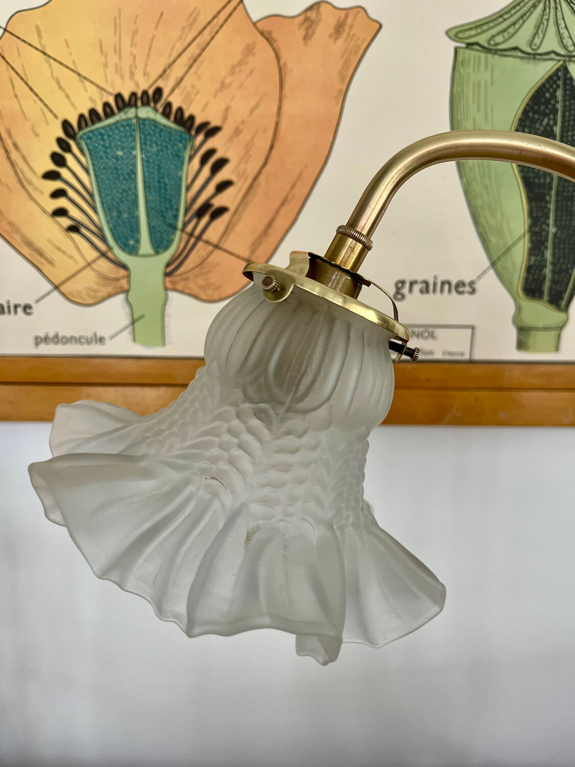 1900 adjustable swan neck lamp