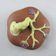 Former YI XING Chinese terracotta teapot China