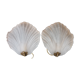 Pair of wall lamps in glass paste and brass, art deco, scallop shell by Mariner S.A.