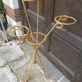 Wrought iron plant door