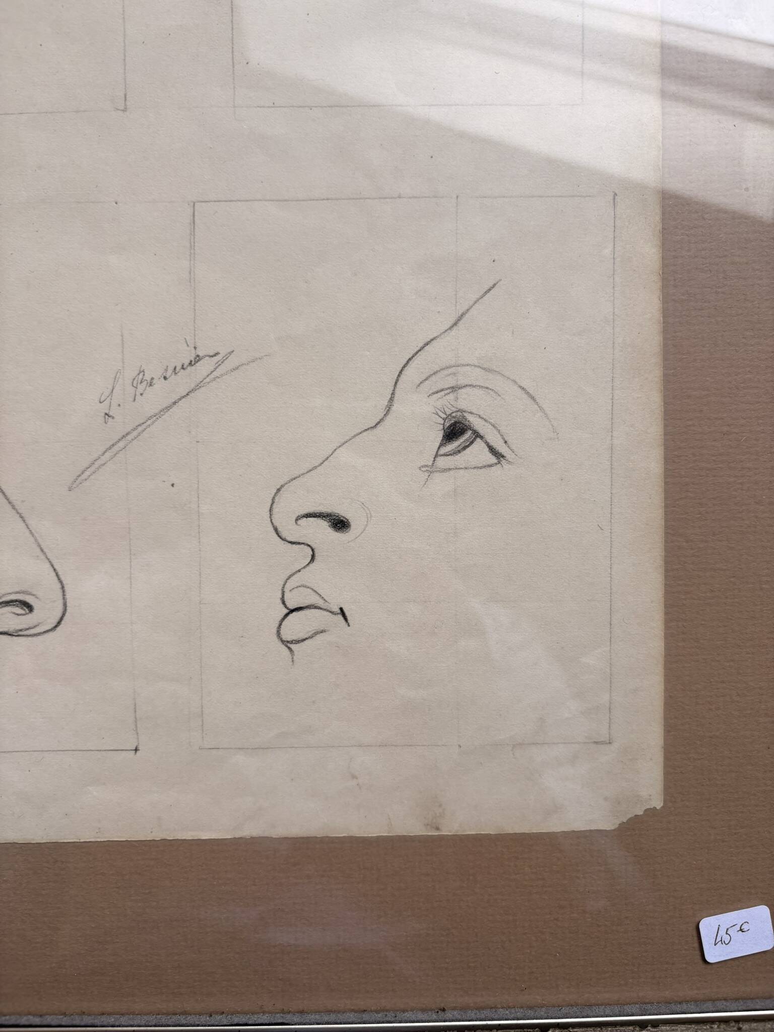 Old Engraving 19th Century Framed Anatomy Nose Mouth Plate Head Morphology