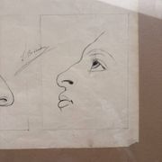 Old Engraving 19th Century Framed Anatomy Nose Mouth Plate Head Morphology