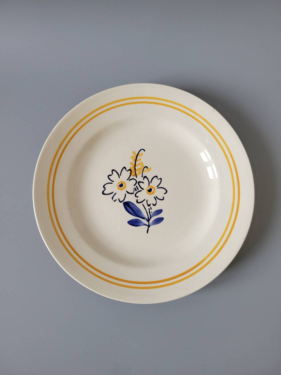 6 floral dinner plates