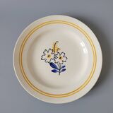 6 floral dinner plates