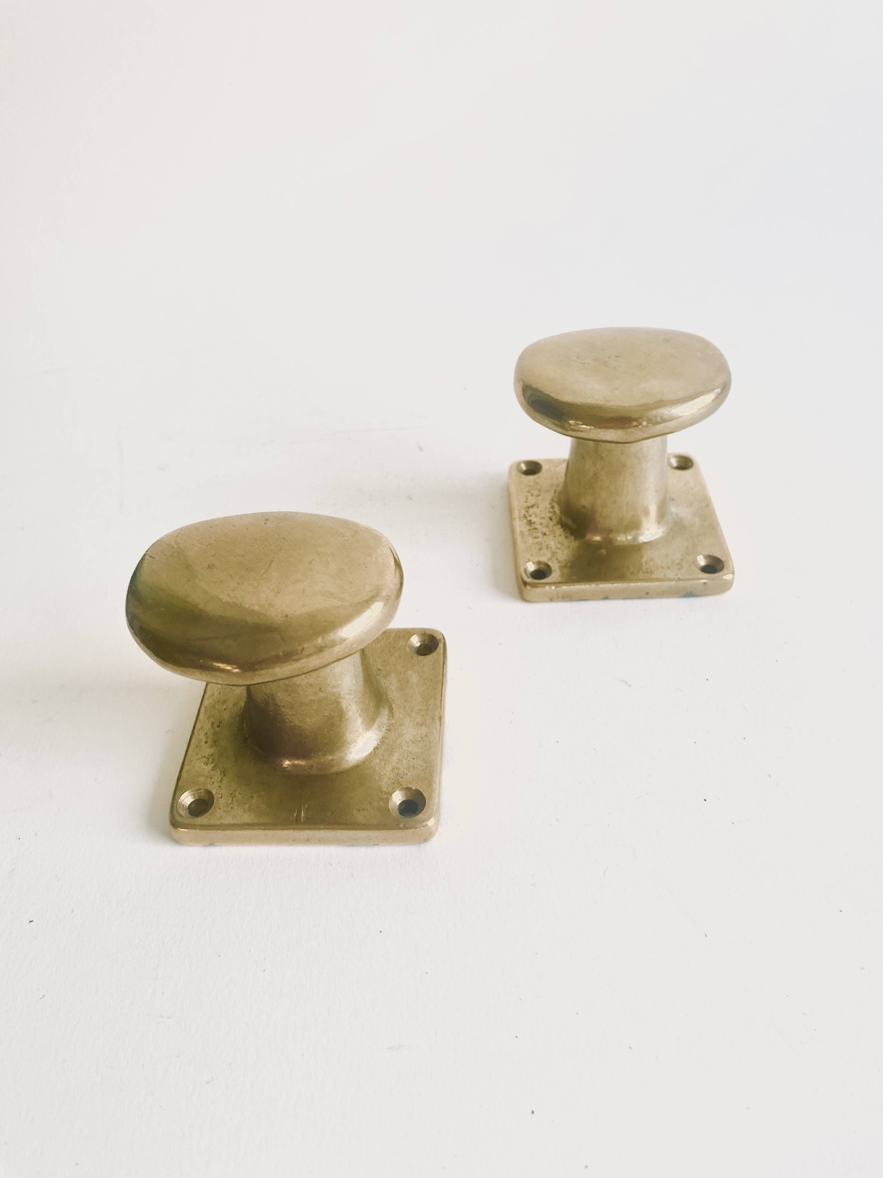 Pair of golden cast iron hooks