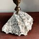 Shell-shaped dish or soap holder.