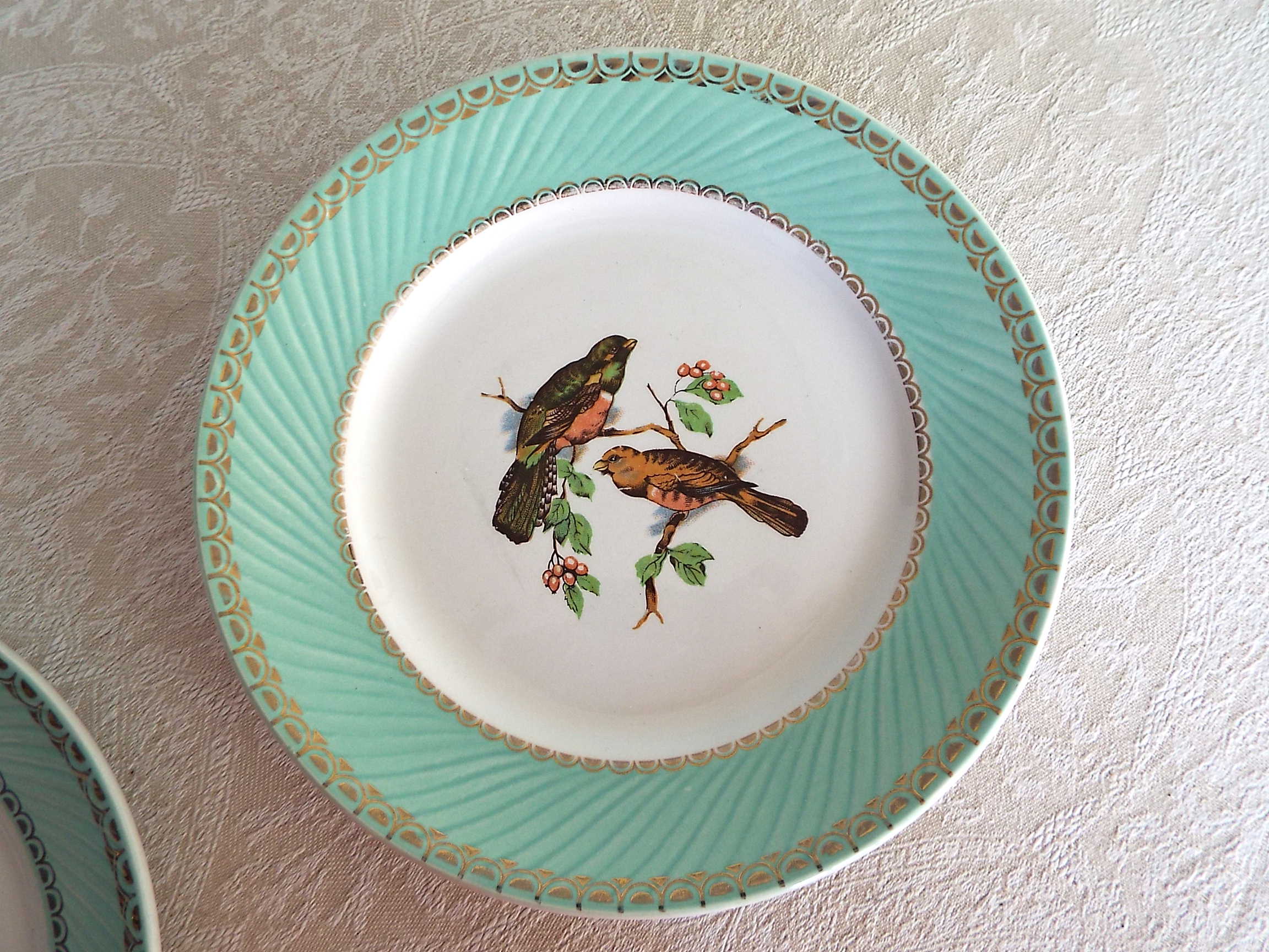 4 flat plates Birds