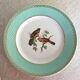 4 flat plates Birds