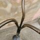 Lampadaire tulipe