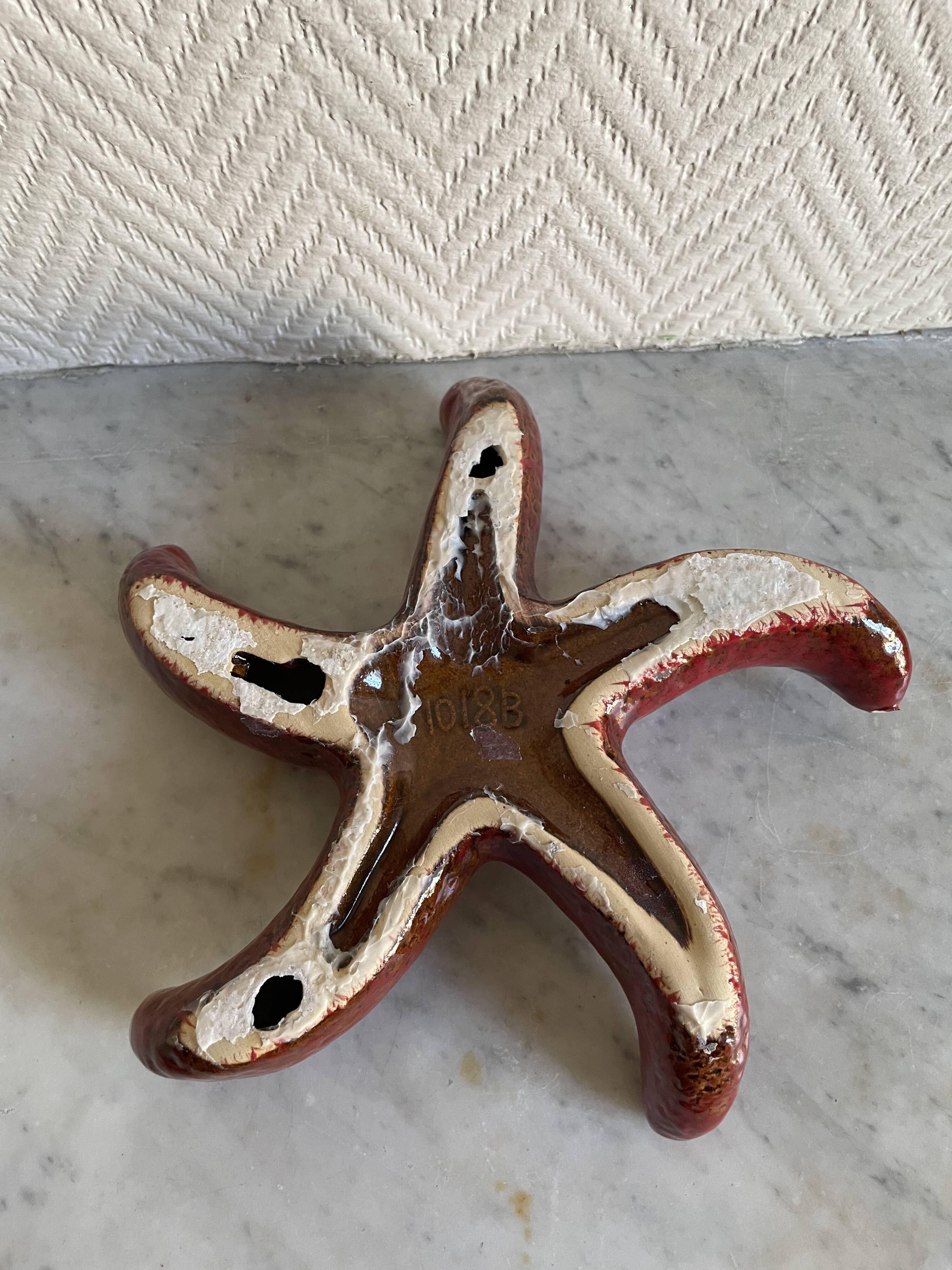ceramic starfish