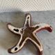 ceramic starfish