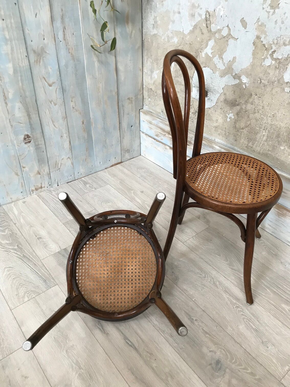 Paire de chaises bistrot Fischel