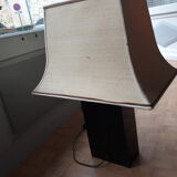 Lamp the Dolphin 70-80 years