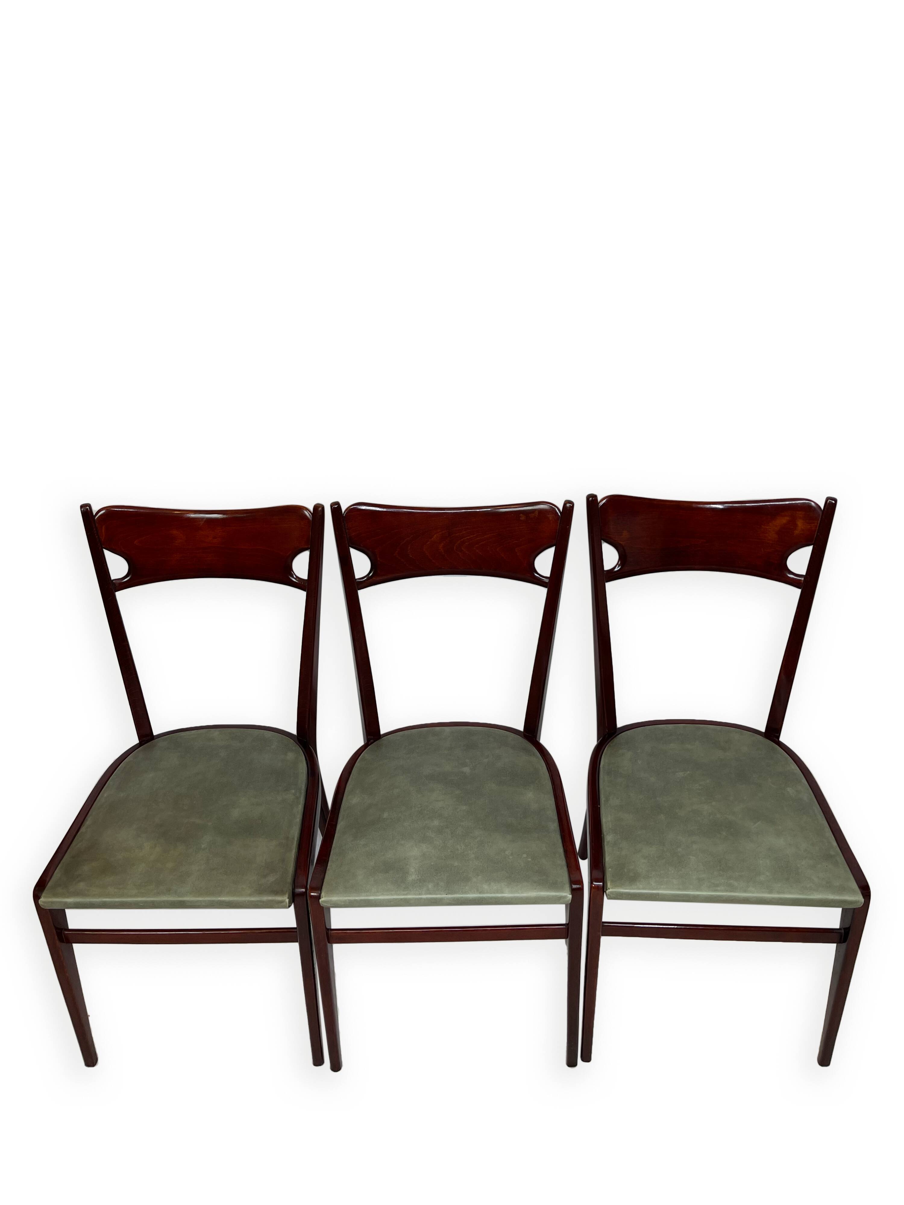 Chaises de salle à manger en bois de hêtre aux tons verts, années 1950