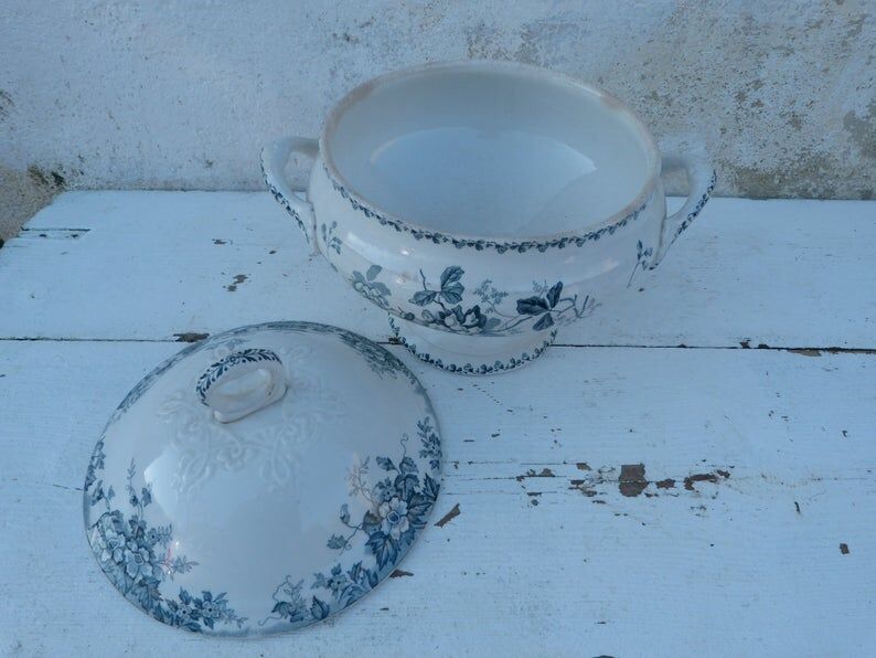 Old soup of The Hamge Wolves France Acacias