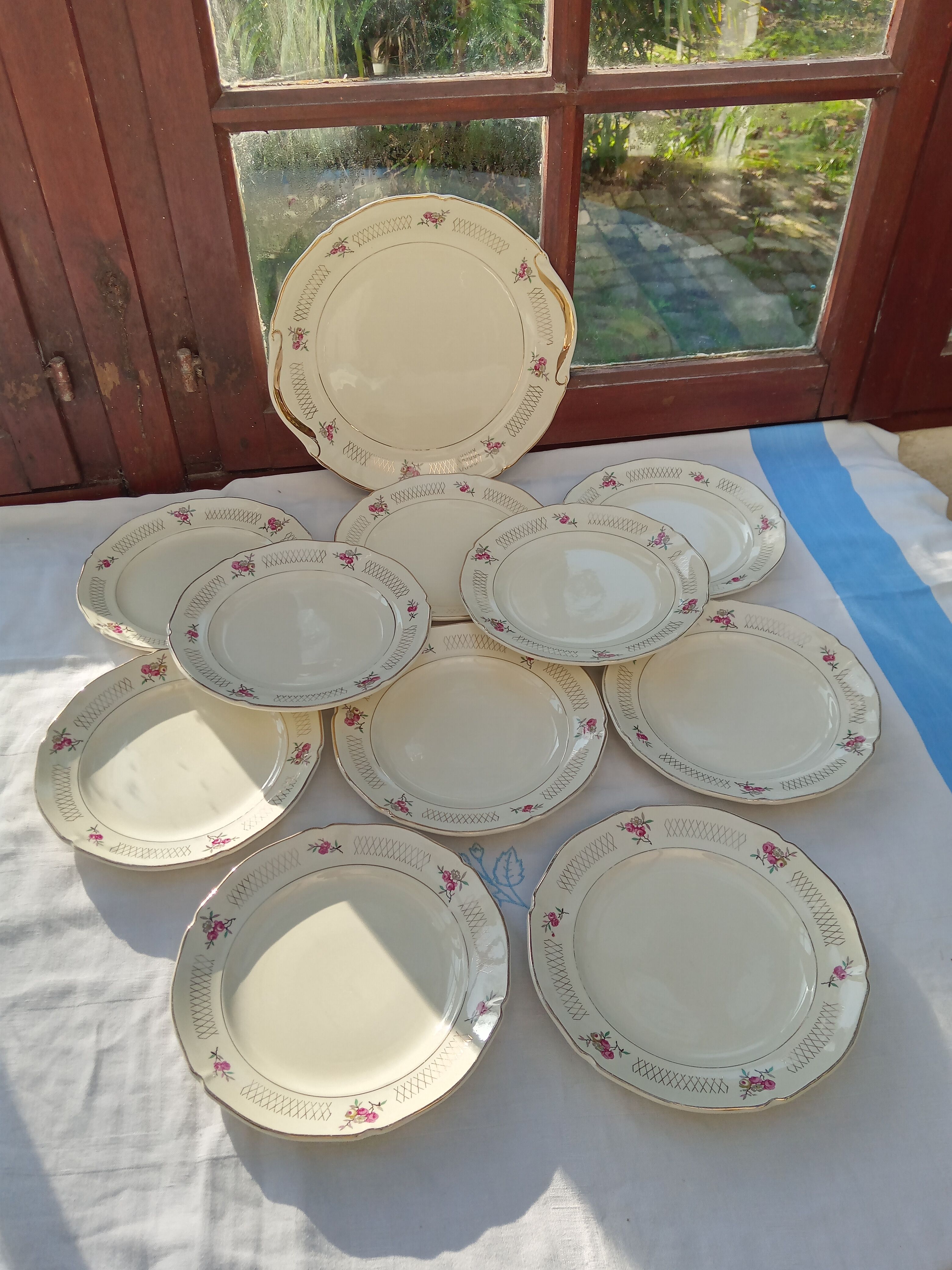 Set 10 flat plates and St Amand dish