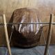Pierre Guariche rocking chair