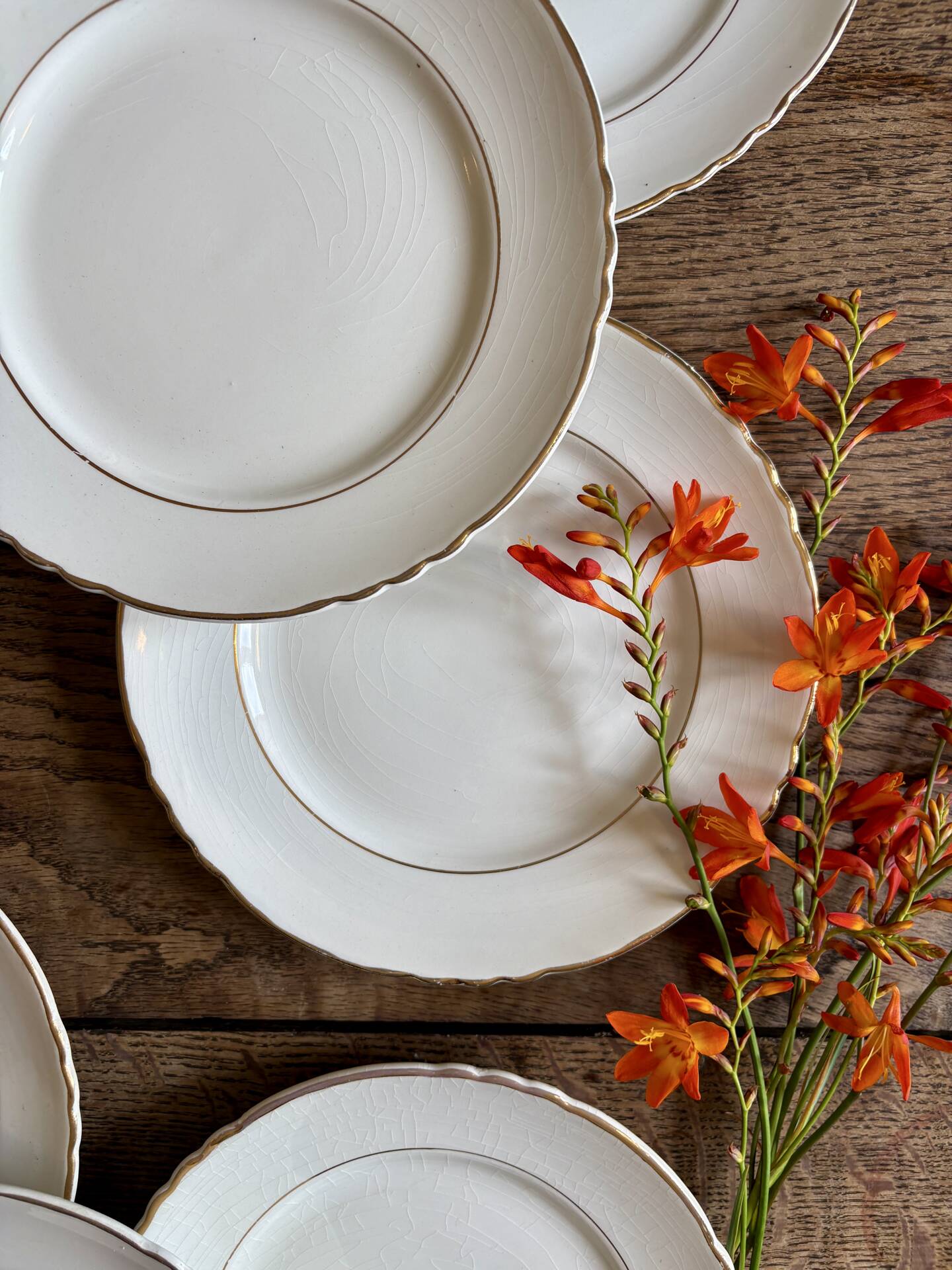 Set of 8 vintage dessert plates Moulin des Loups