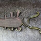 Golden cast iron beetle