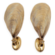 Pair of Bronze Mussel Shell Maison Jansen style Sconces -(2 pairs avail