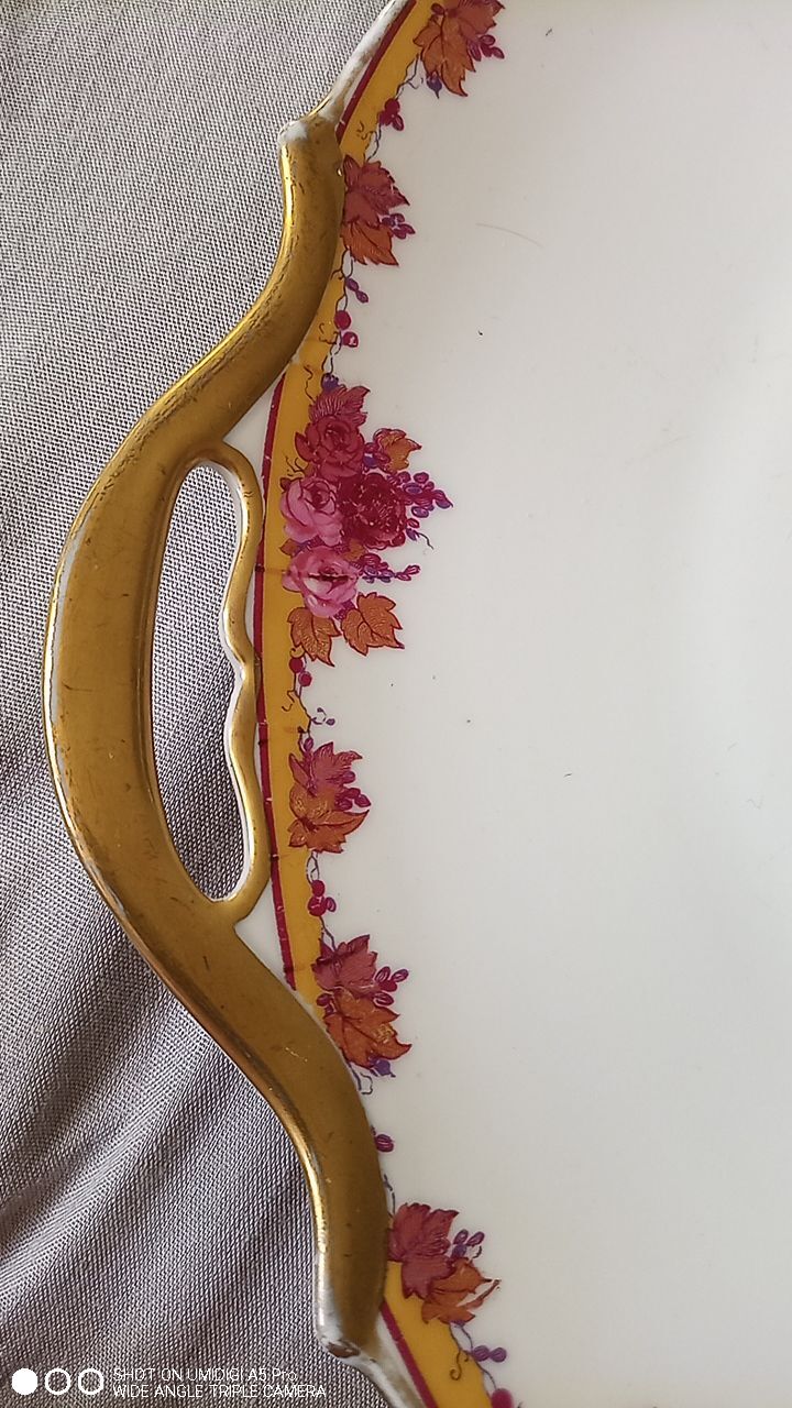 Limoges porcelain by André François (1919-1934) - 12 plates + 1 dish