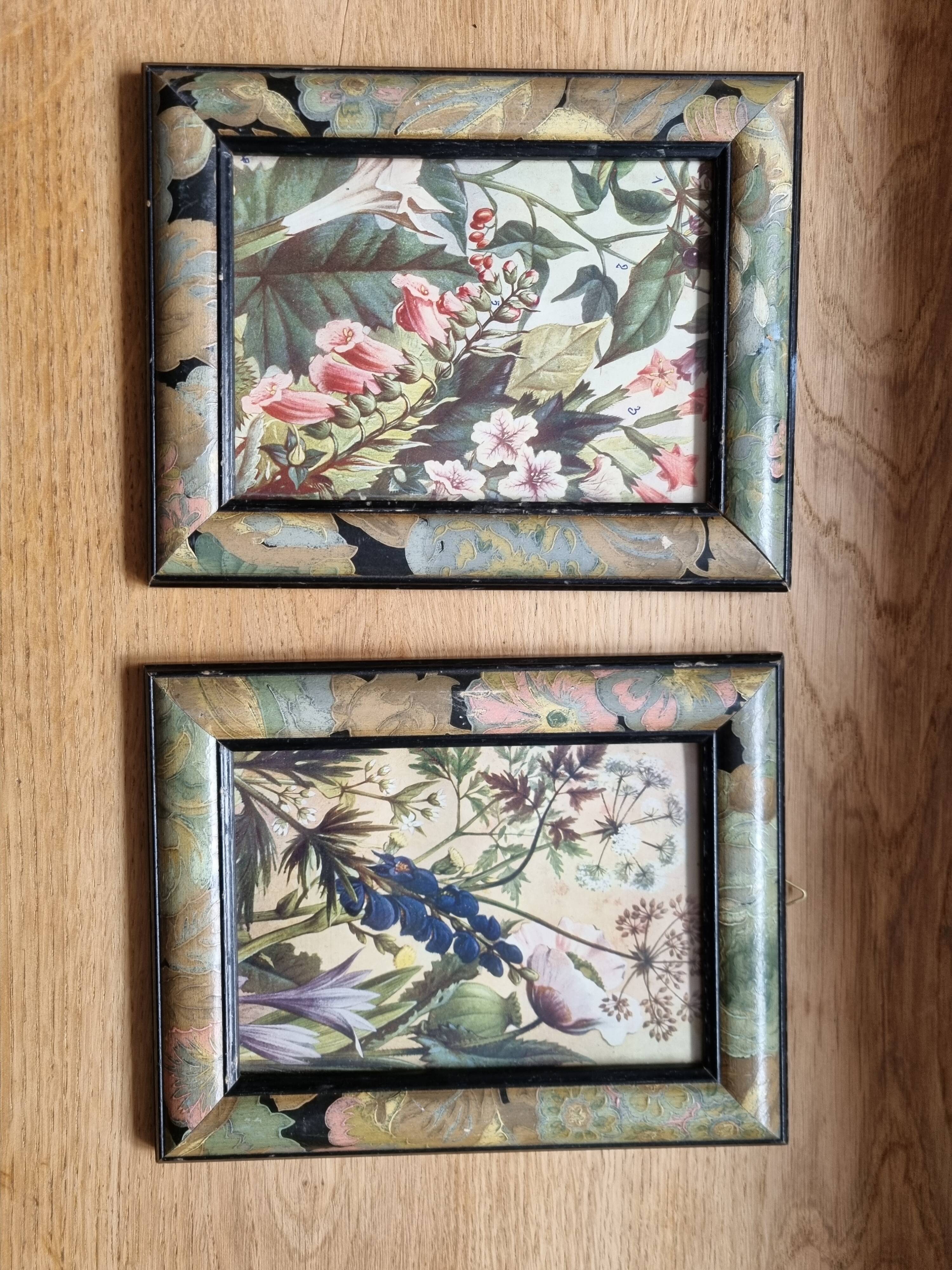 Paire de cadres art deco plantes médicinales