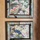 Paire de cadres art deco plantes médicinales