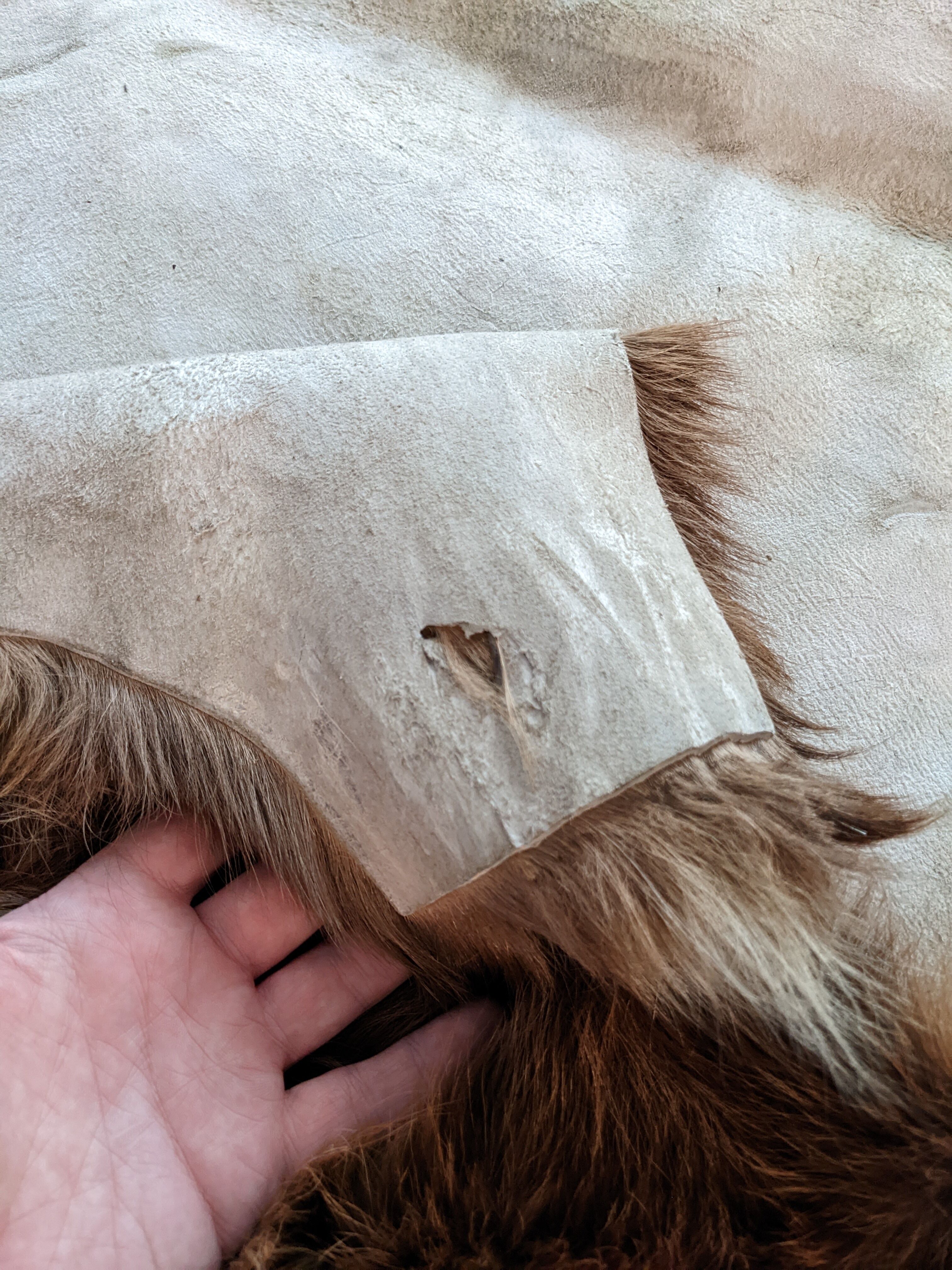 Pony skin carpet 160x142cm