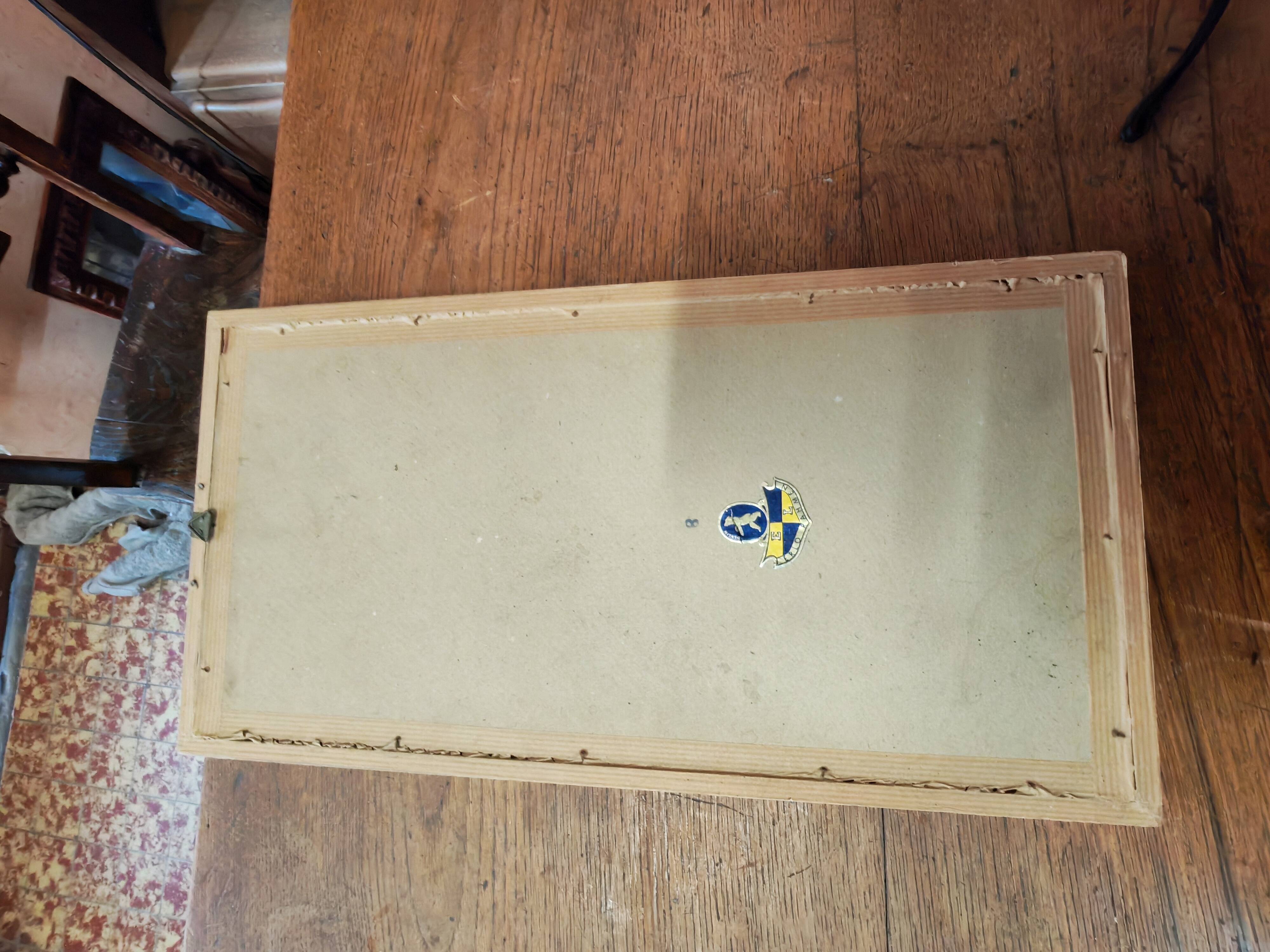 Set of two vintage flower illustrations