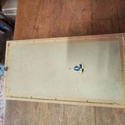 Set of two vintage flower illustrations