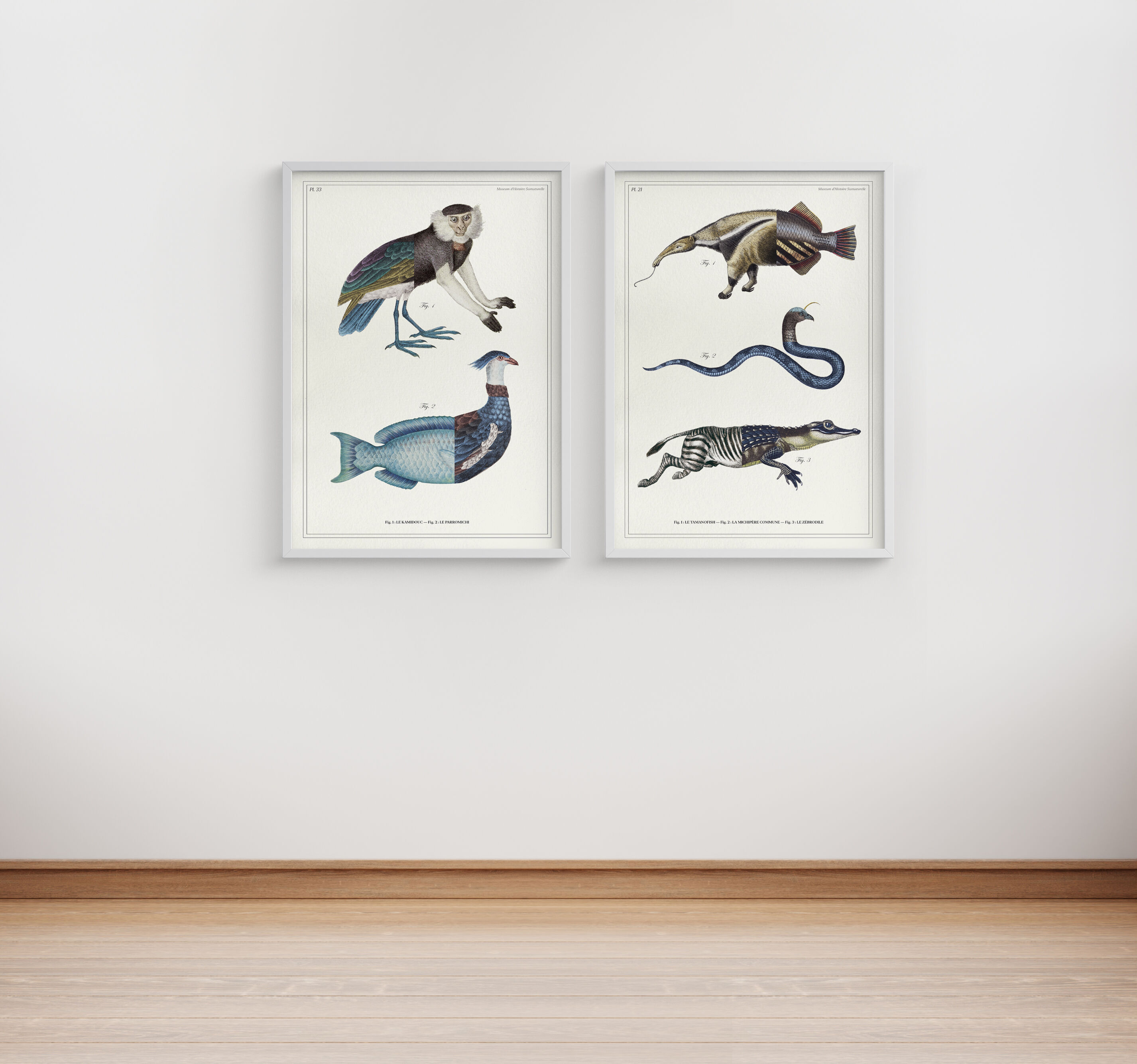 Lithography engraving vintage chimeras - 1850