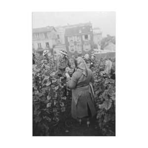Tirage photo argentique baryté