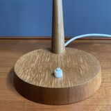 Temde desklamp 1960s with flexible gooseneck