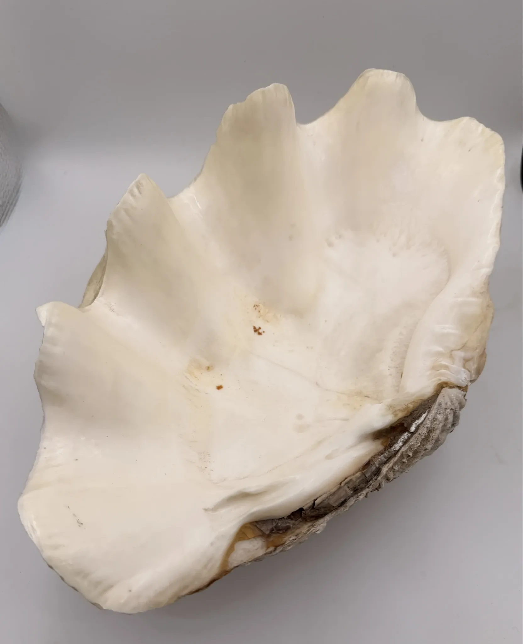 Basin 2kg