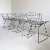 4 chairs by Bertoia Harry for Knoll, 1980