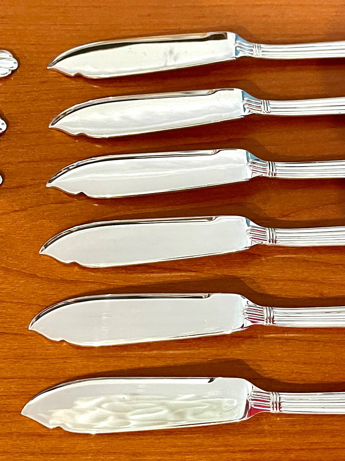 Christofle aria 6 fish cutlery set (12 pieces)