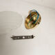 Paire d'appliques murales coquillages verre murano et laiton 1960
