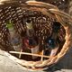 Bar roulant en osier vintage 1950-60