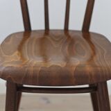 Set of Four Dining Chairs from Tatra Nabytok, Czechoslovakia, 1960s